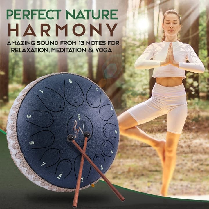 Steel Tongue Drum 12 Inch 13 Notes