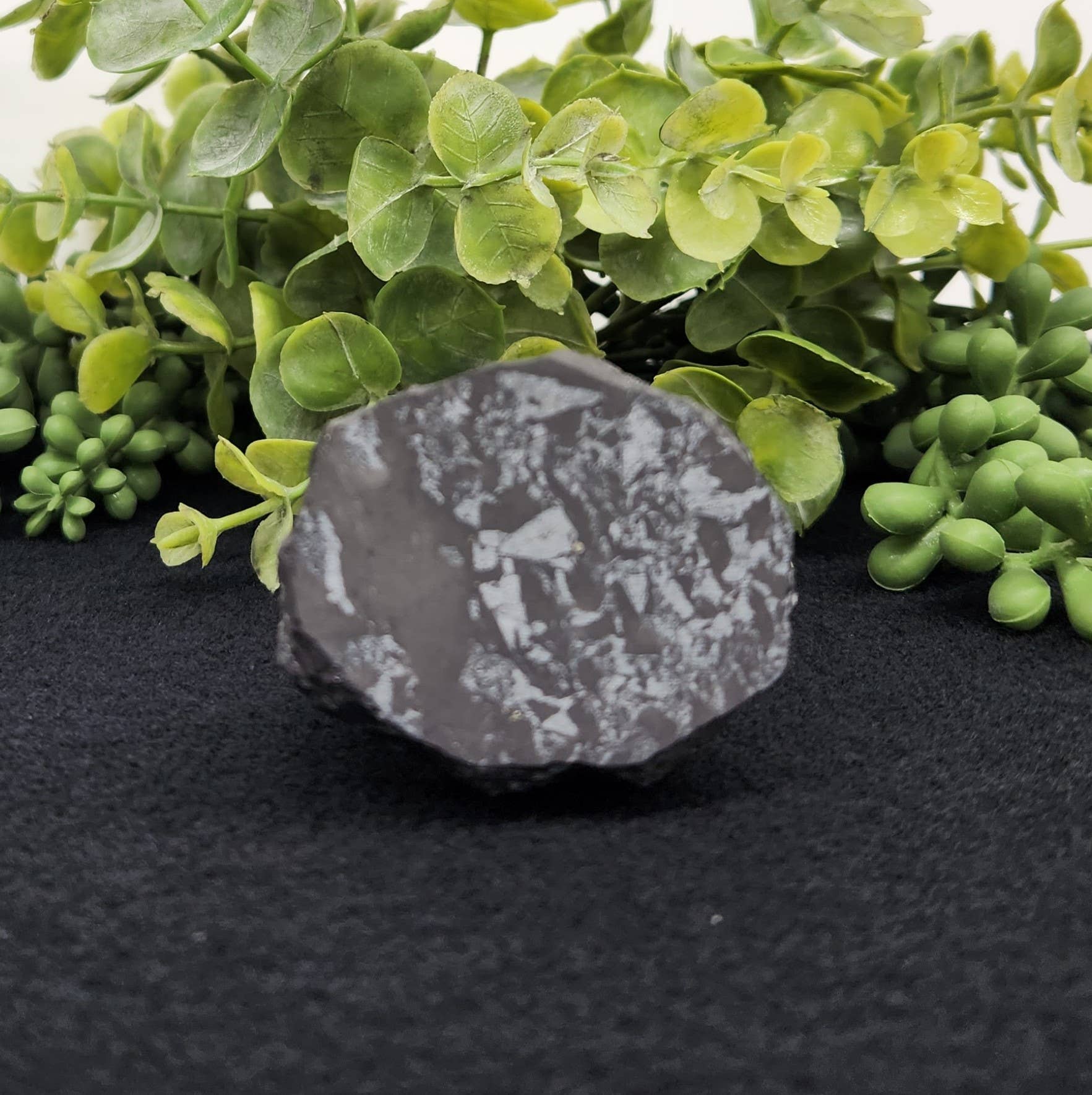 Shungite Figurine Owl Facing Sideways (2.25x1.75x2.25")