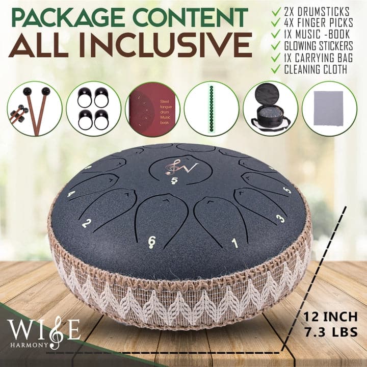 Steel Tongue Drum 12 Inch 13 Notes