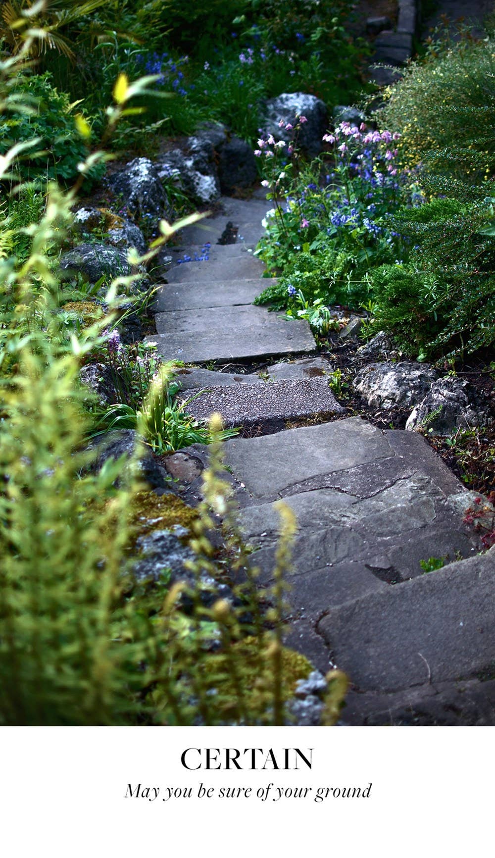 Earth Blessings Oracle Cards (48 Cards and Guidebook)