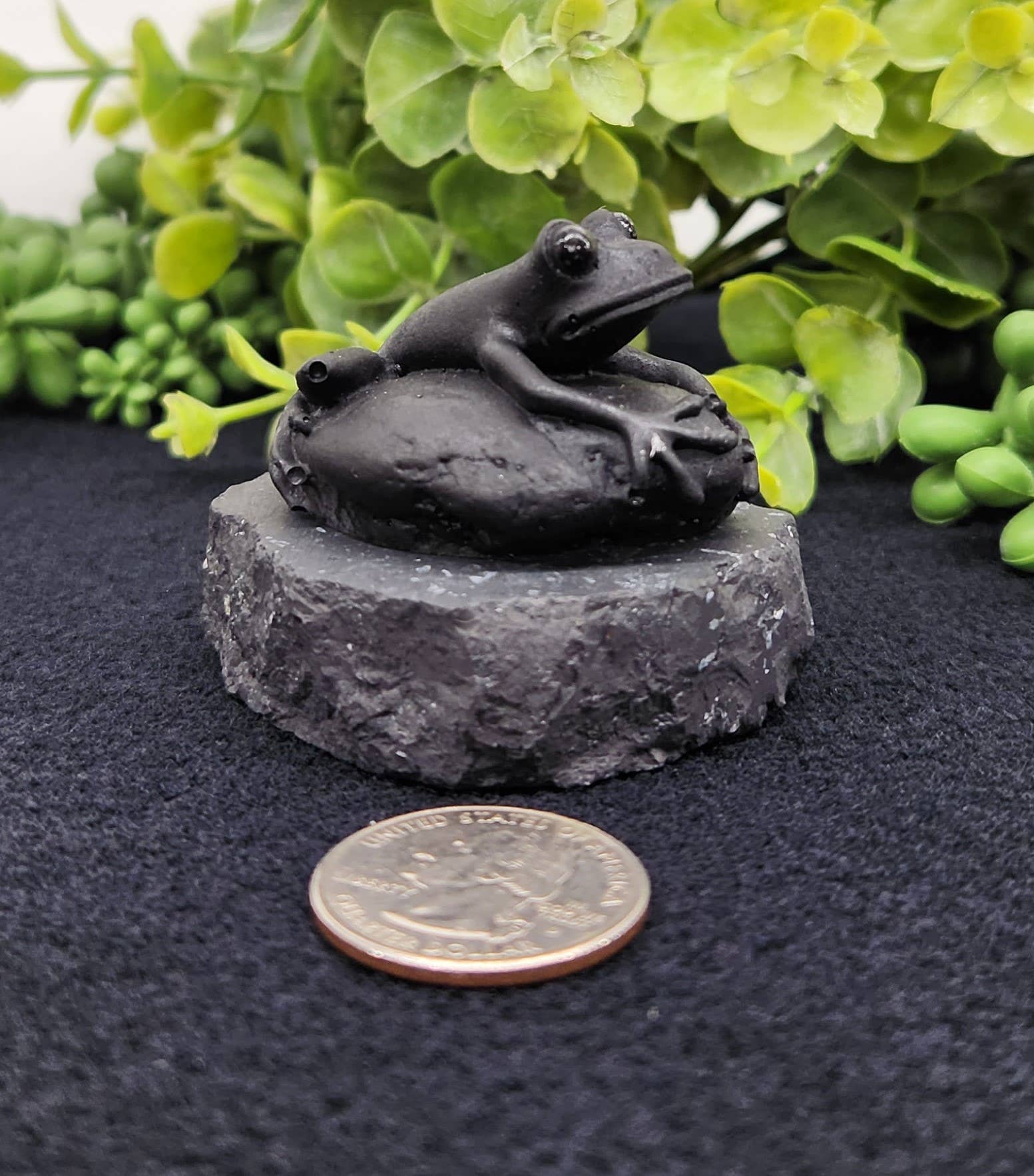 Shungite Figurine Frog on Stone(2.5x2x1.75")(EMF Protection)
