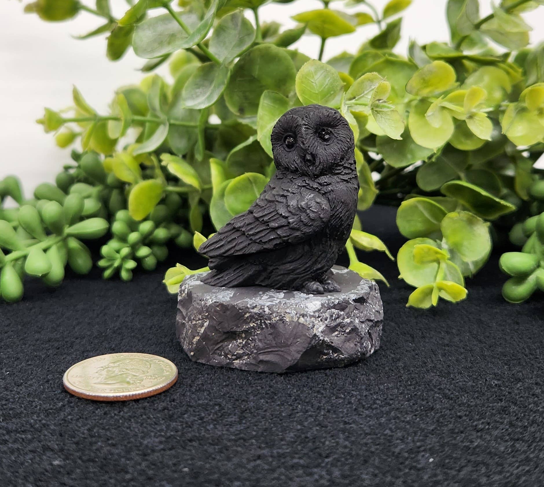 Shungite Figurine Owl Facing Sideways (2.25x1.75x2.25")
