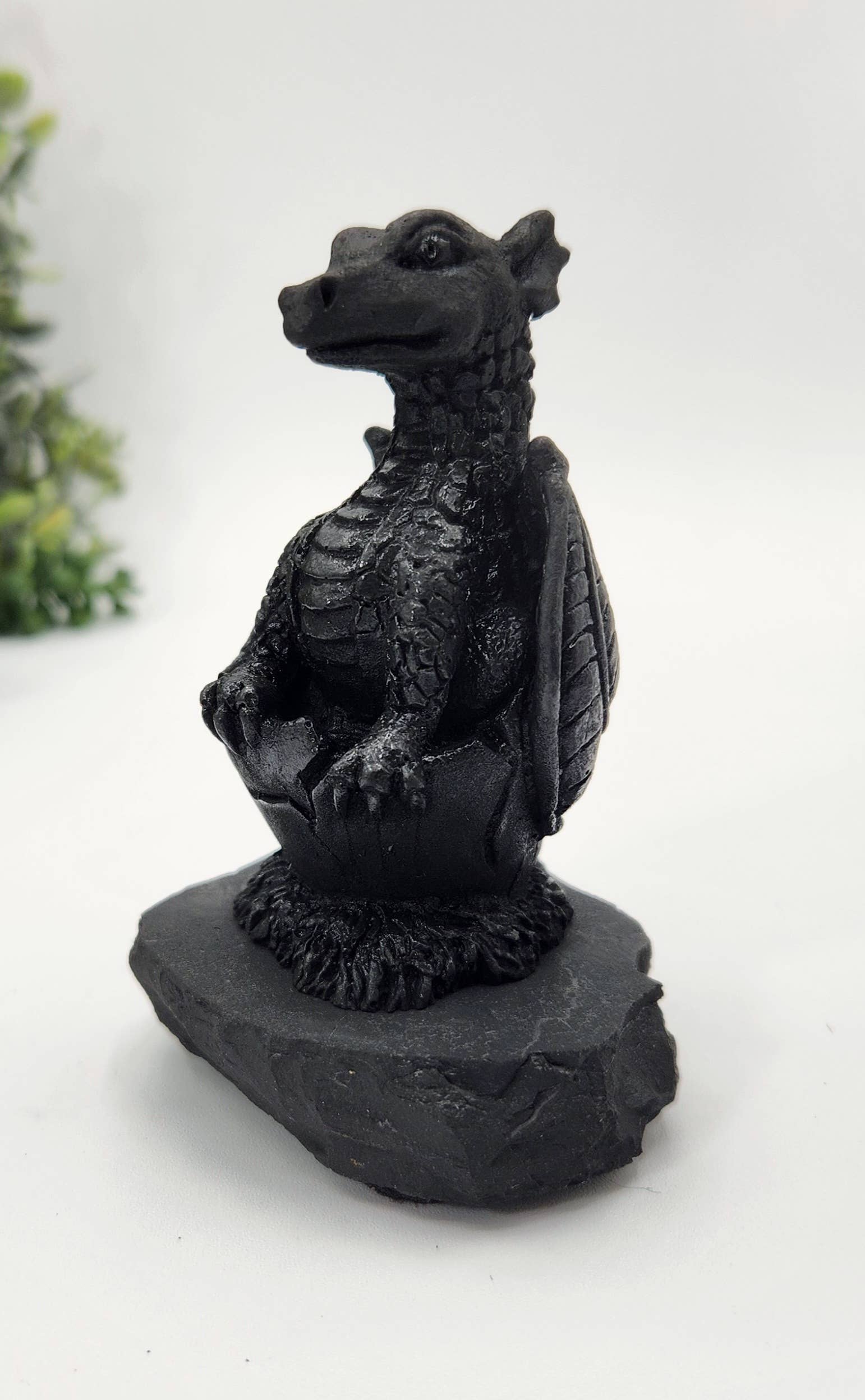 Shungite Figurine Dragon in Egg - EMF Protection(7x9.5x11cm)