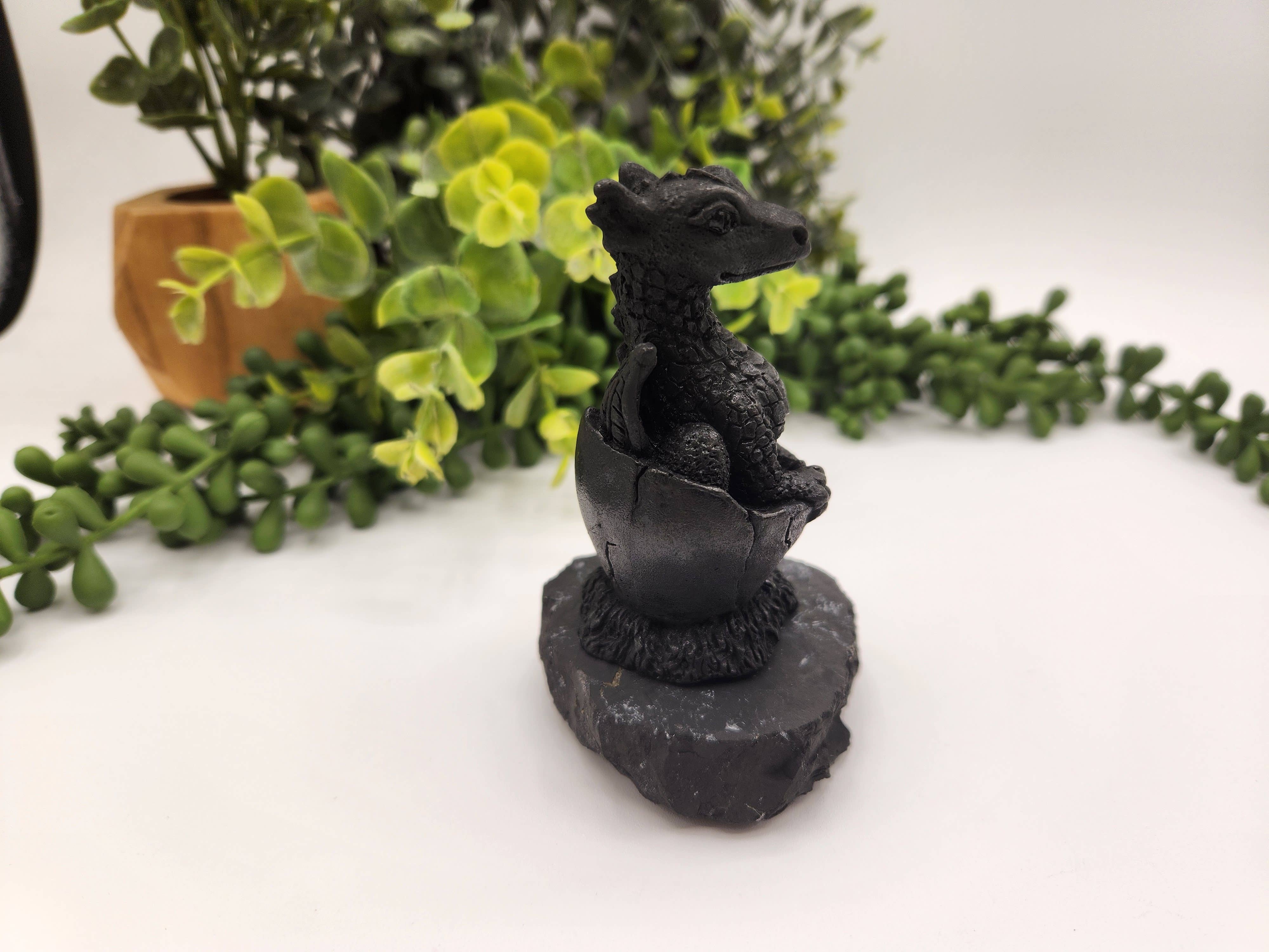 Shungite Figurine Dragon in Egg - EMF Protection(7x9.5x11cm)