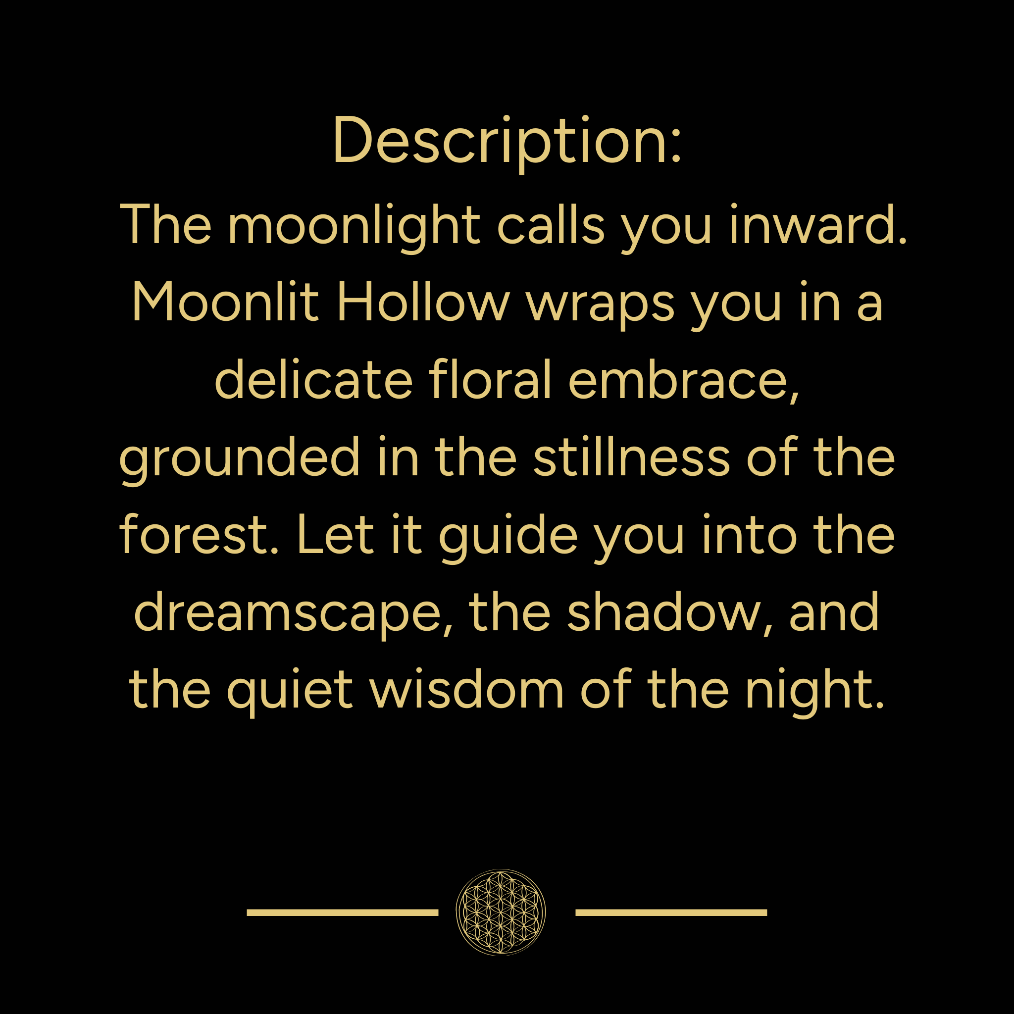 Moonlit Hollow Everyday Ritual Mist | 4oz