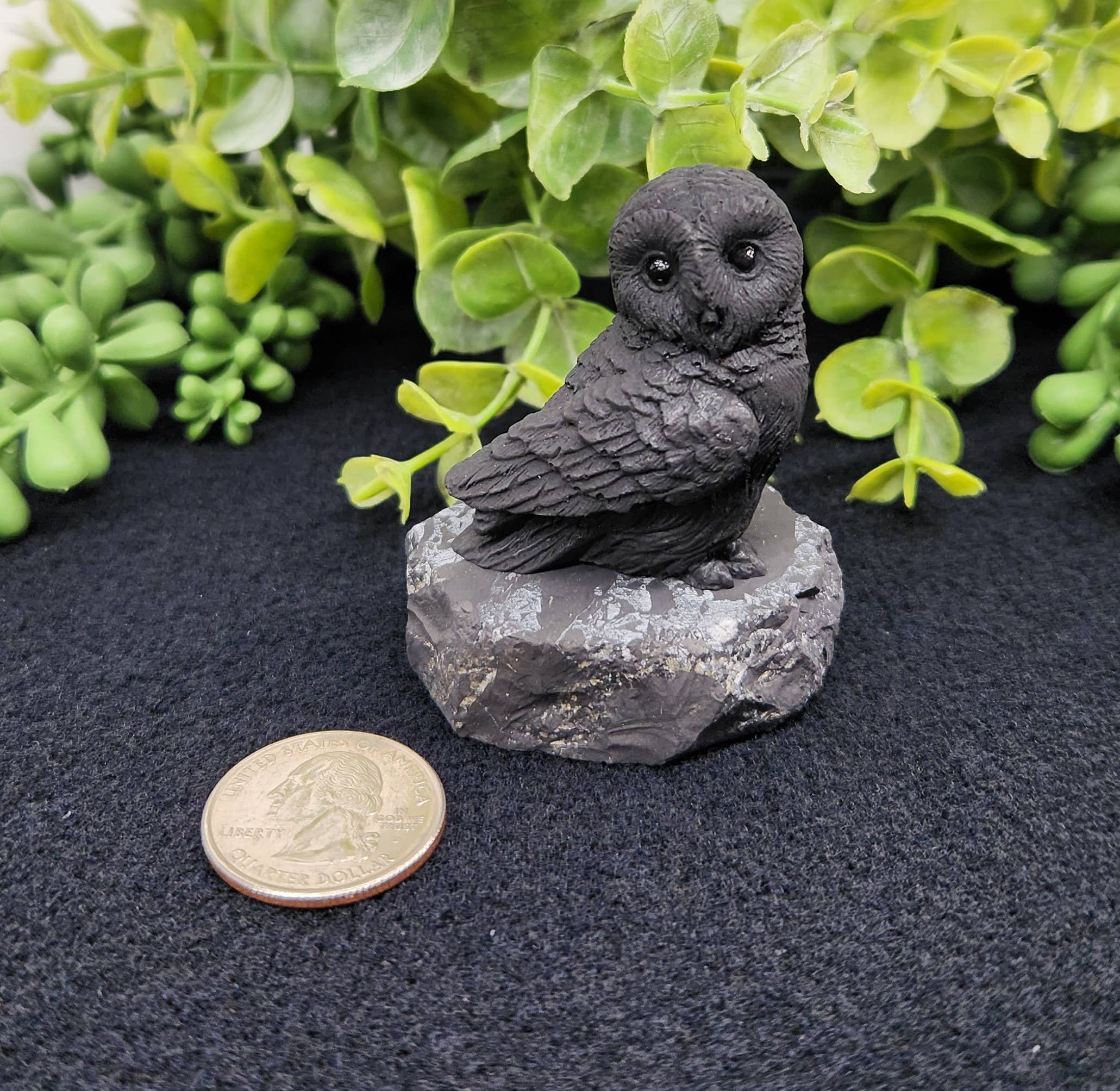 Shungite Figurine Owl Facing Sideways (2.25x1.75x2.25")